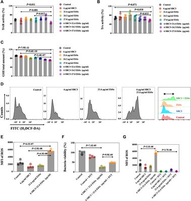 The synergistic activity of SBC3 in combination with Ebselen against Escherichia coli infection